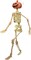 16in Halloween Posable Skeleton Pumpkin Full Body Skeleton Decor with Movable Joints Spooky Hanging Ghost Skeleton for Yard Garden Lawn Haunted House Graveyard Props